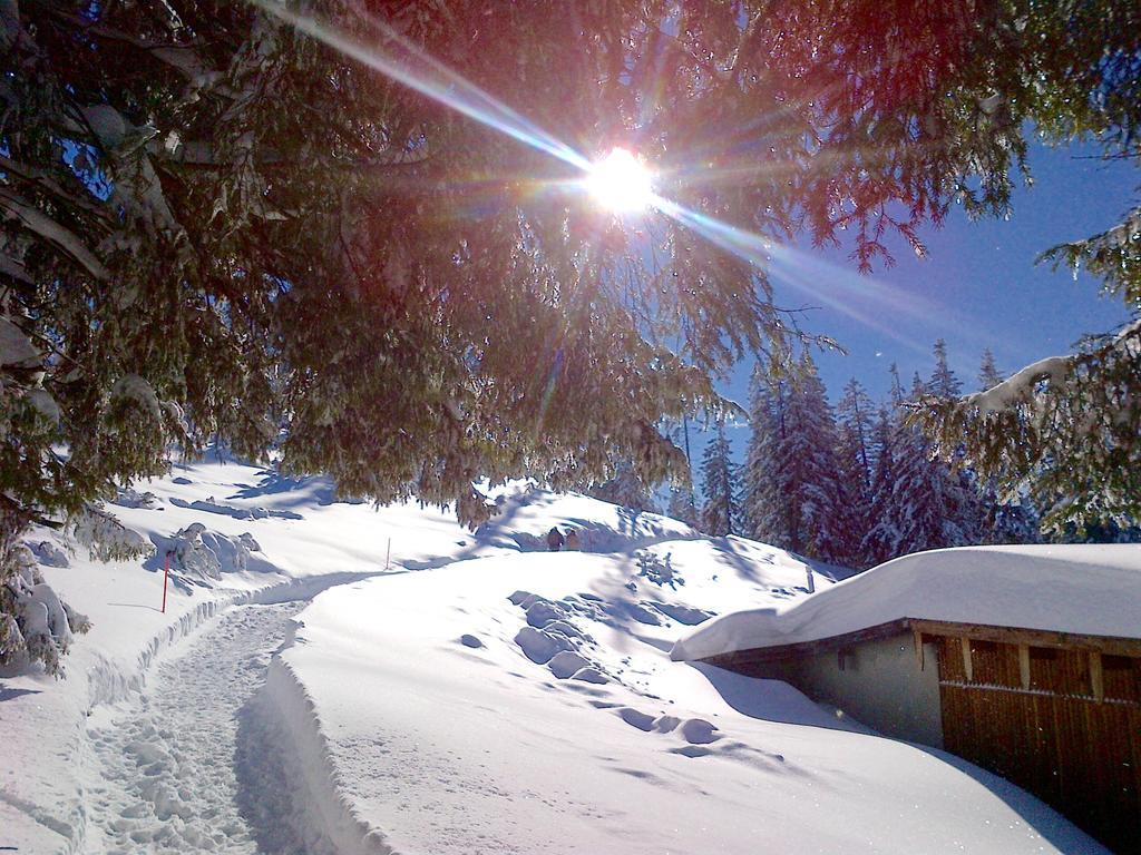 Bergbach Otel Ramsau bei Berchtesgaden Dış mekan fotoğraf